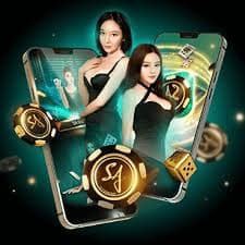 zs999
